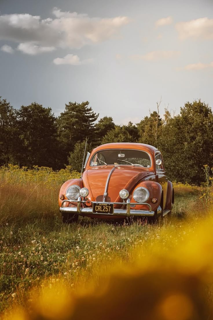 A classic Volkswagen Beetle from the 1950s